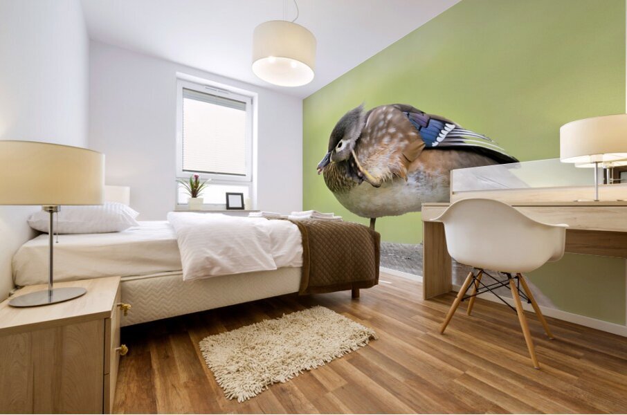 Waterfowl 37 Mural print