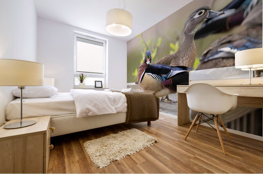 Waterfowl 46 Mural print