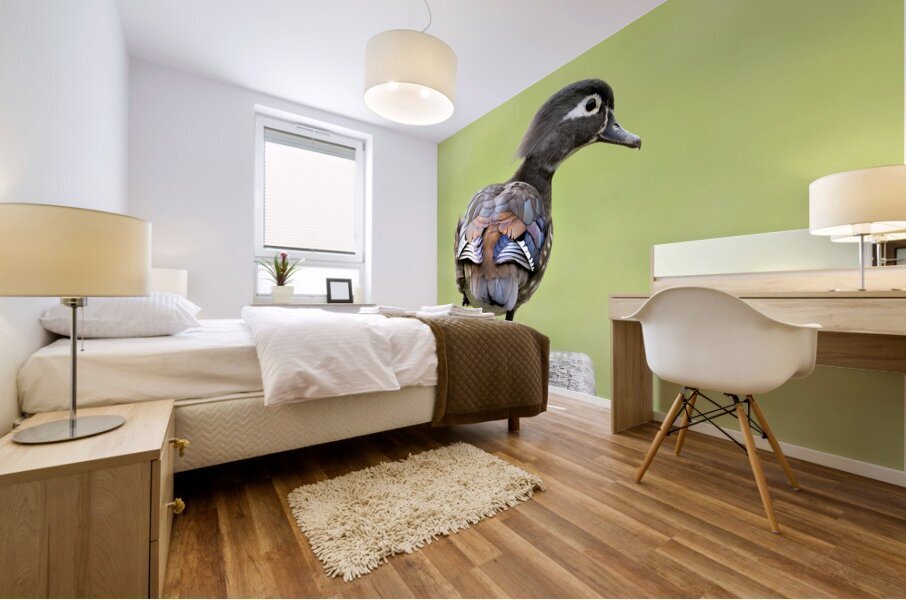Waterfowl 50 Mural print