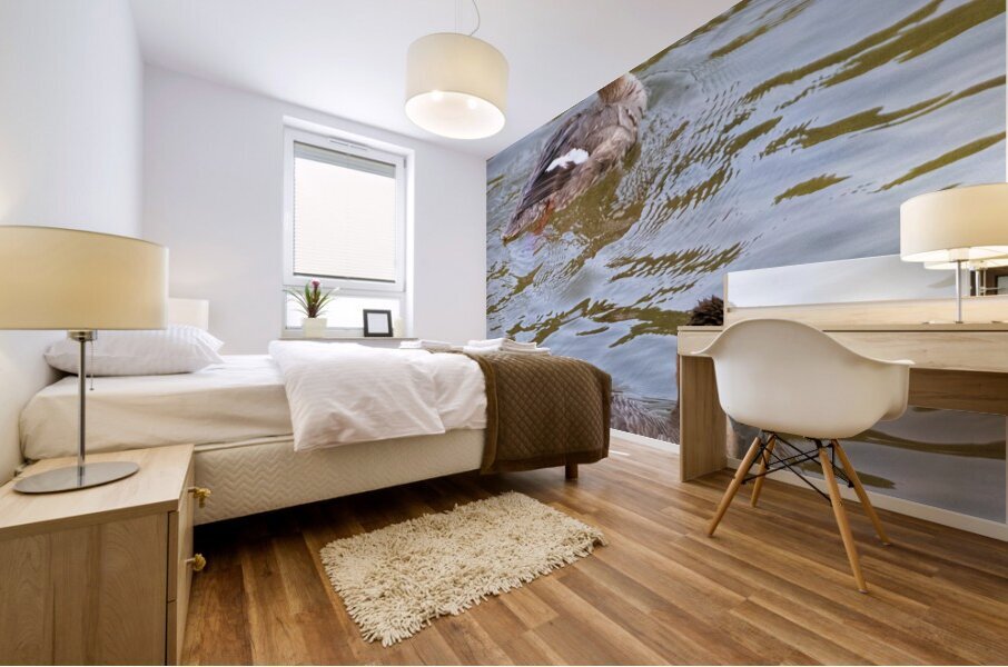 Waterfowl 51 Mural print