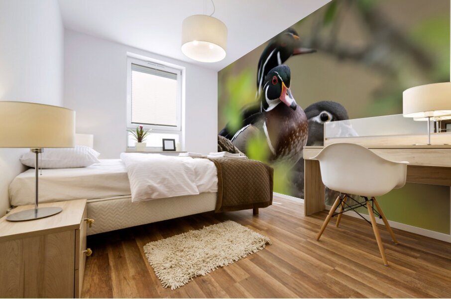 Waterfowl 52 Mural print