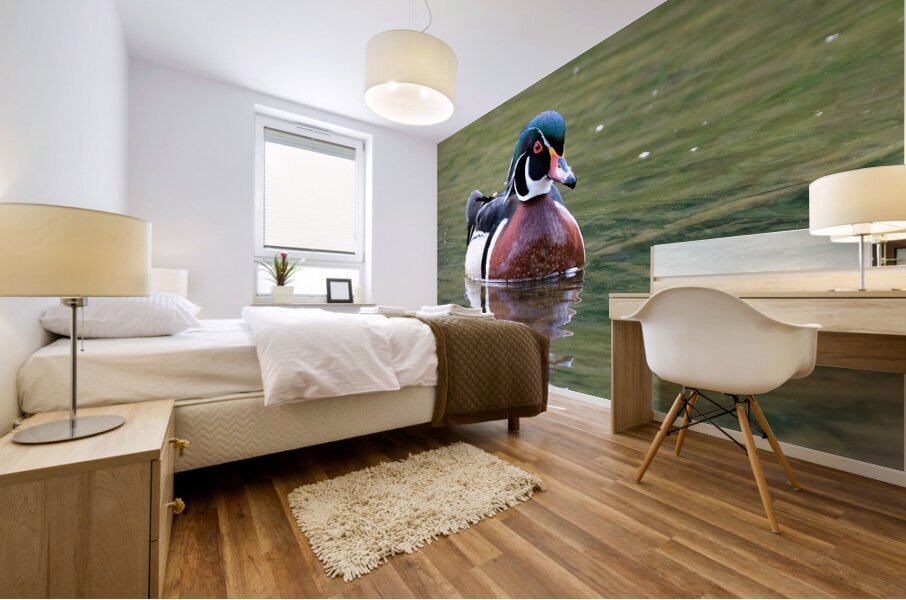 Waterfowl 68 Mural print