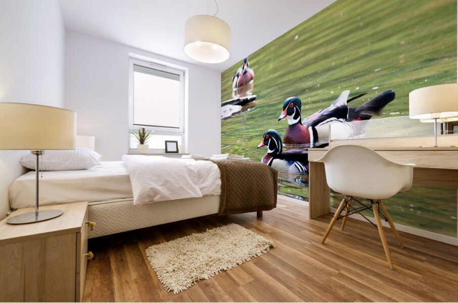 Waterfowl 74 Mural print