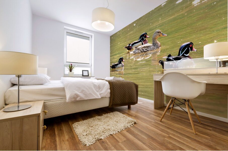 Waterfowl 78 Mural print