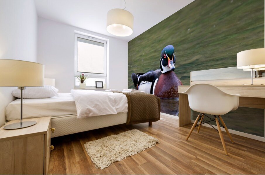 Waterfowl 80 Mural print