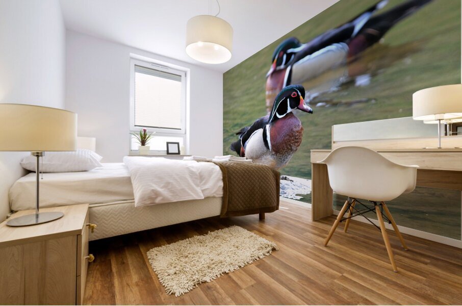 Waterfowl 82 Mural print