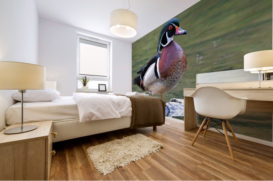Waterfowl 83 Mural print