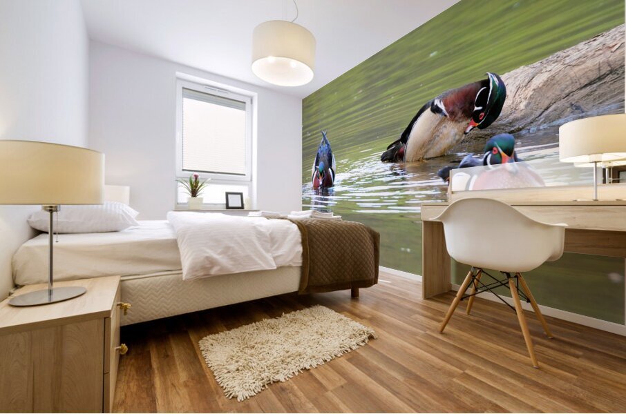 Waterfowl84 Mural print