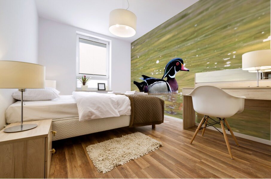 Waterfowl 88 Mural print