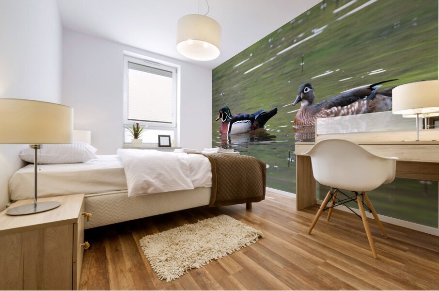 Waterfowl 89 Mural print