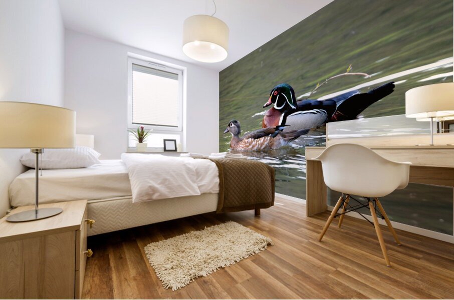 Waterfowl 101 Mural print