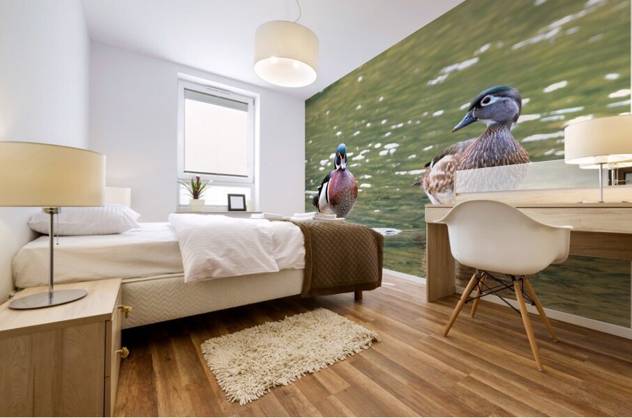 Waterfowl 102 Mural print