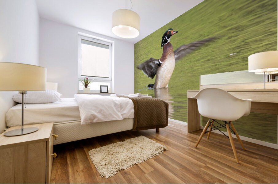 Waterfowl 103 Mural print