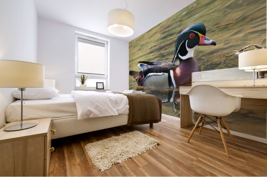 Waterfowl 105 Mural print