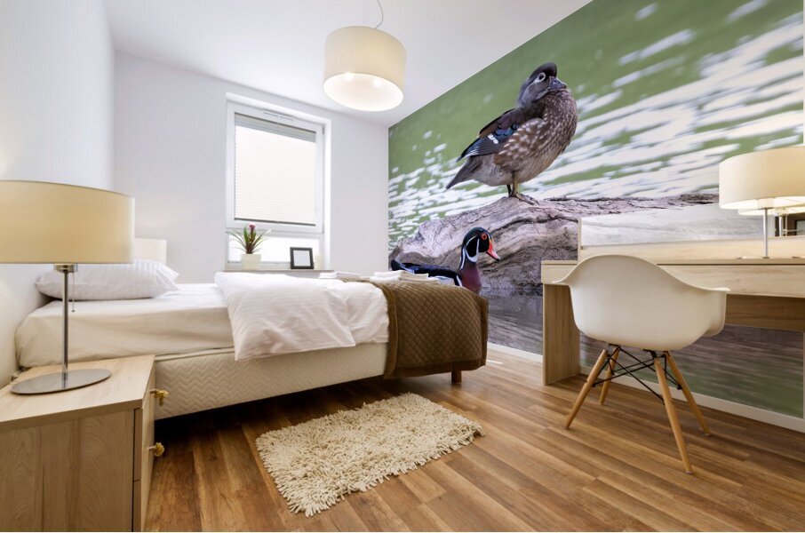 Waterfowl 112 Mural print