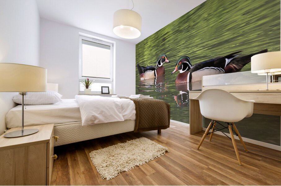 Waterfowl 115 Mural print