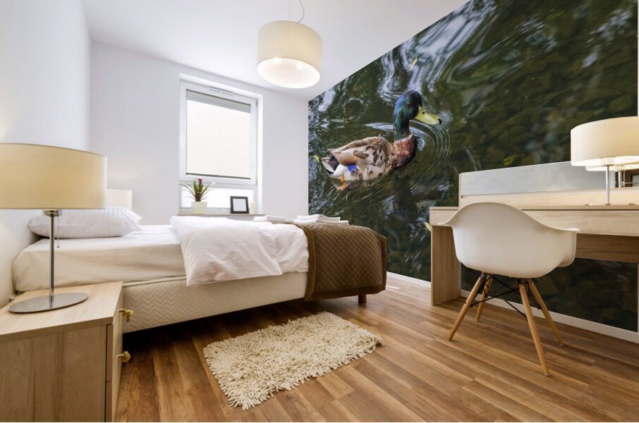 Waterfowl 151 Mural print