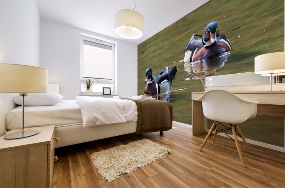 Waterfowl 152 Mural print