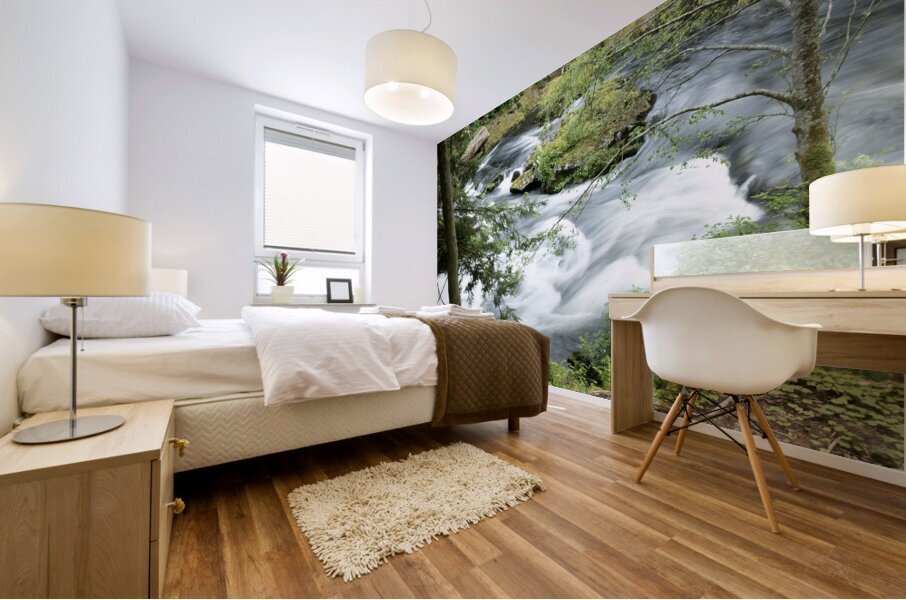 Alaska 1 Mural print
