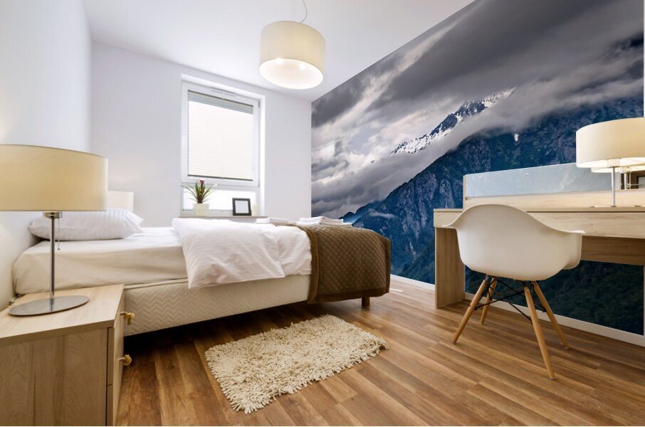 Alaska 22 Mural print