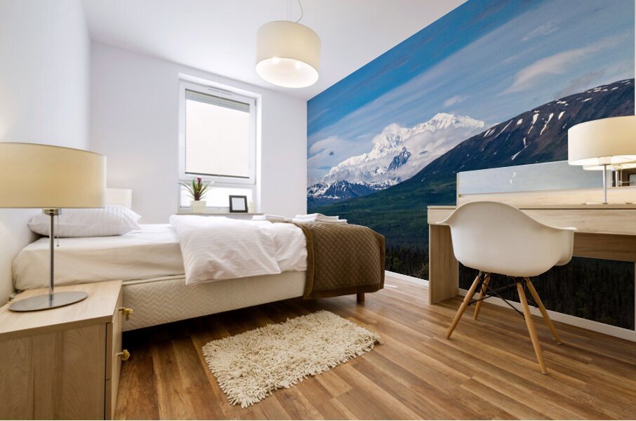 Alaska 28 Mural print