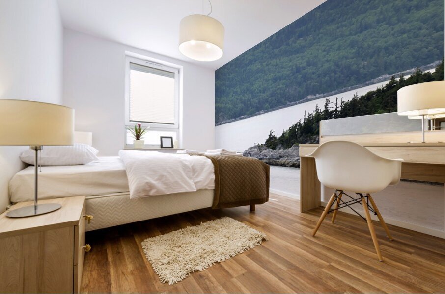 Alaska 37 Mural print