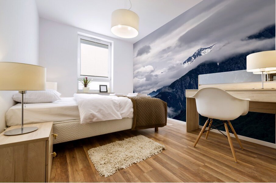 Alaska 39 Mural print