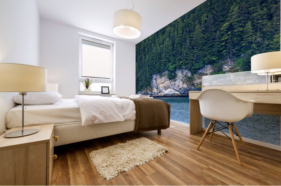 Alaska 42 Mural print