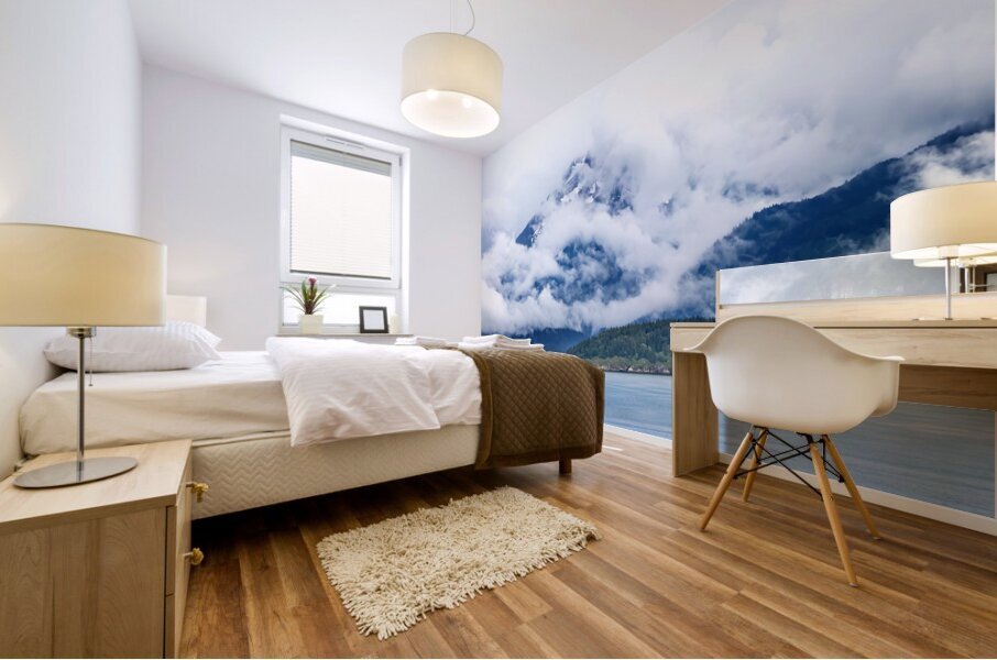 Alaska 63 Mural print