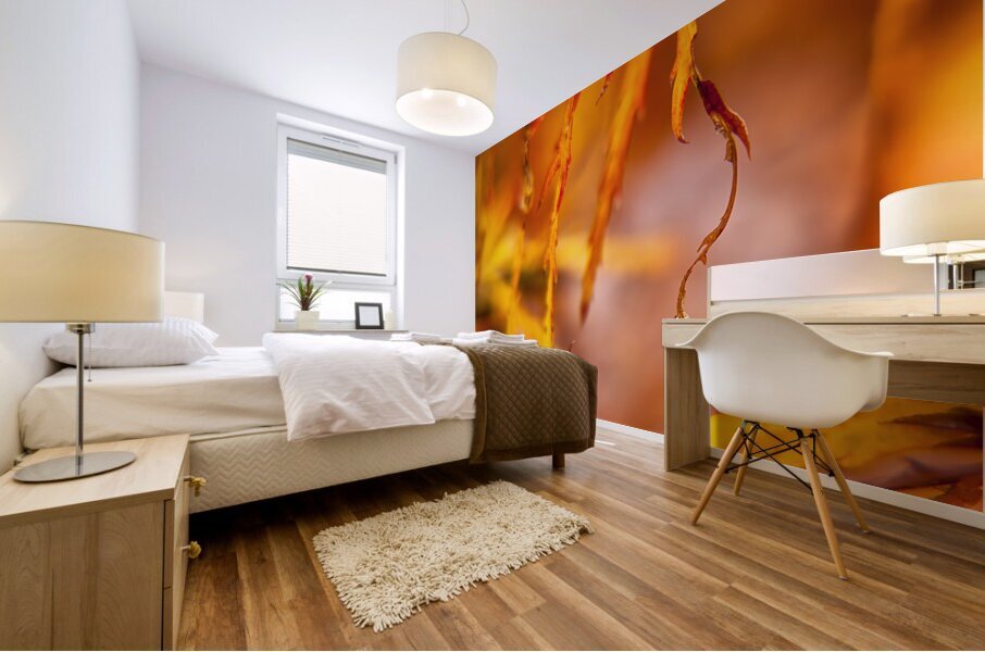 Abstract  48 Mural print