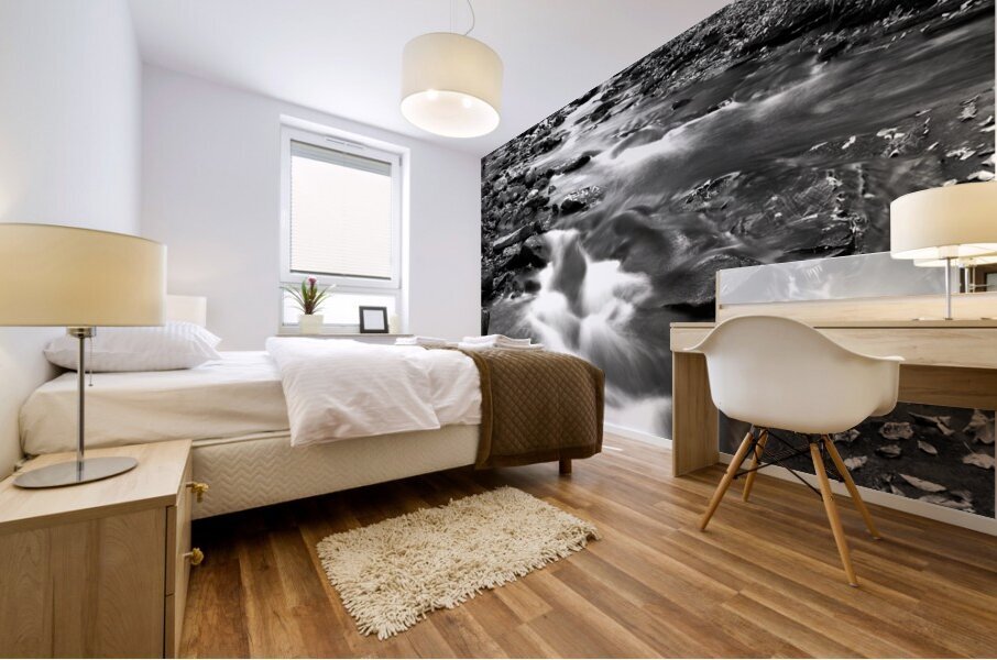 Water  15 Mural print