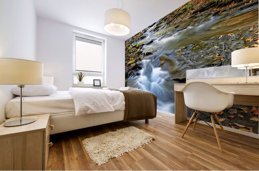 Water  20 Mural print