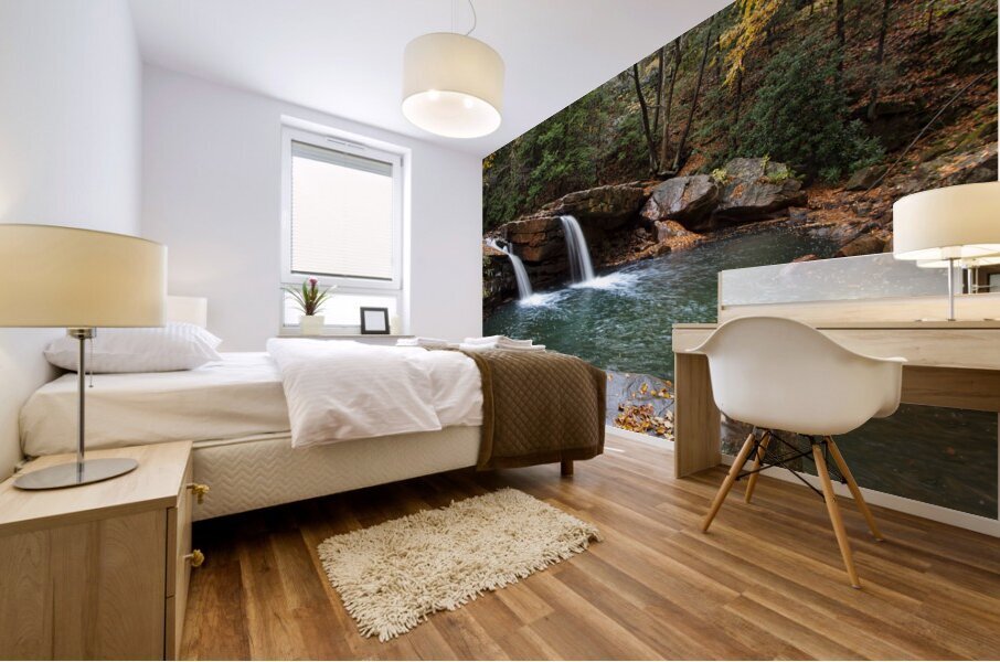 Water  23 Mural print