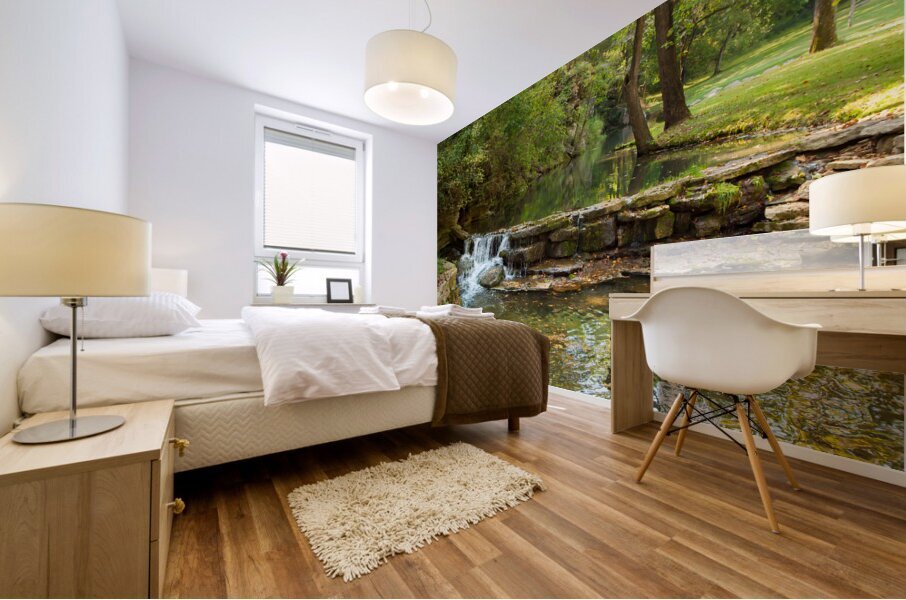 Water  31 Mural print