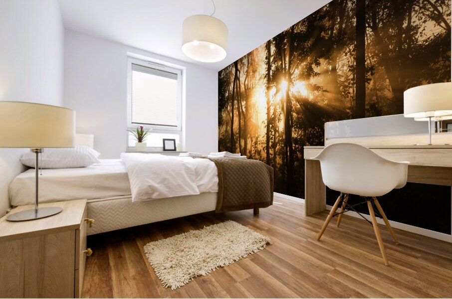 SunriseSunset 16 Mural print