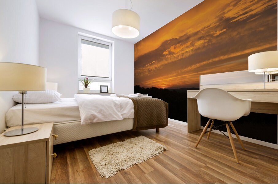 SunriseSunset 20 Mural print