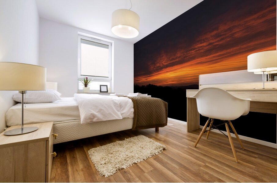 SunriseSunset 30 Mural print