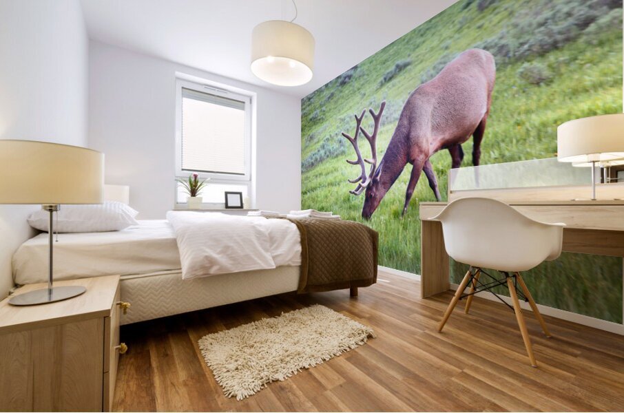 AnimalsInsects 3 Mural print