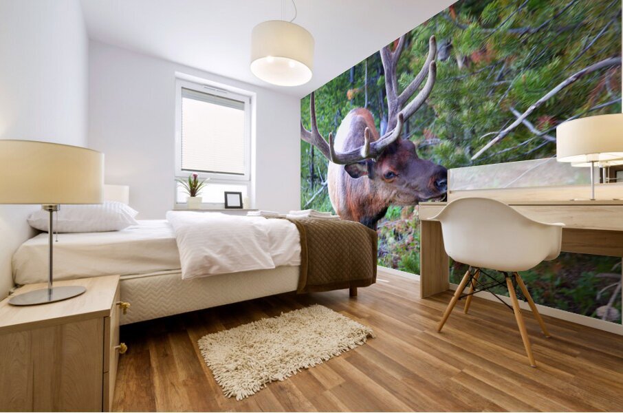 AnimalsInsects 13 Mural print