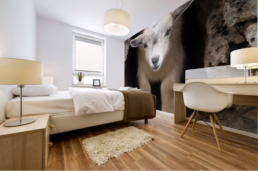 AnimalsInsects 16 Mural print
