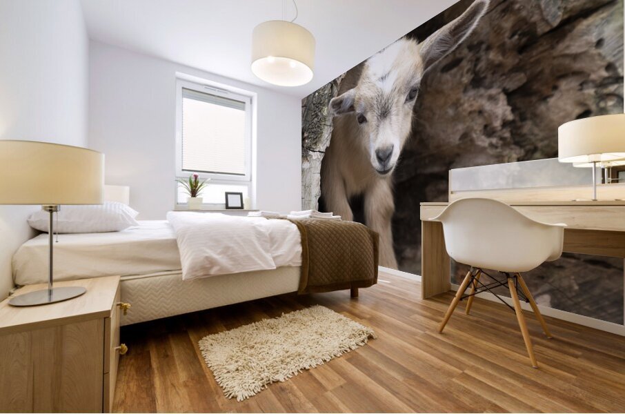 AnimalsInsects 18 Mural print