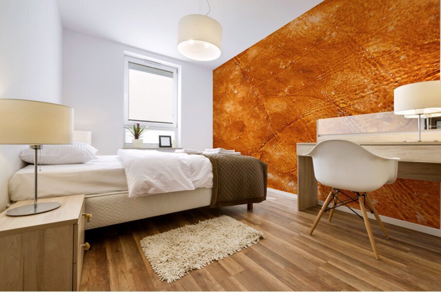 Abstract 67 Mural print