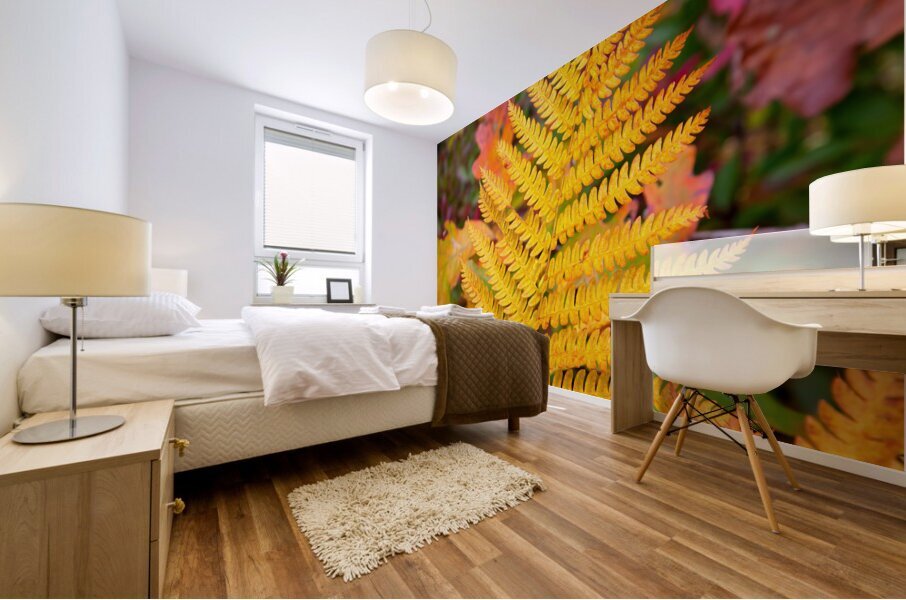 Autumn Color 111 Mural print