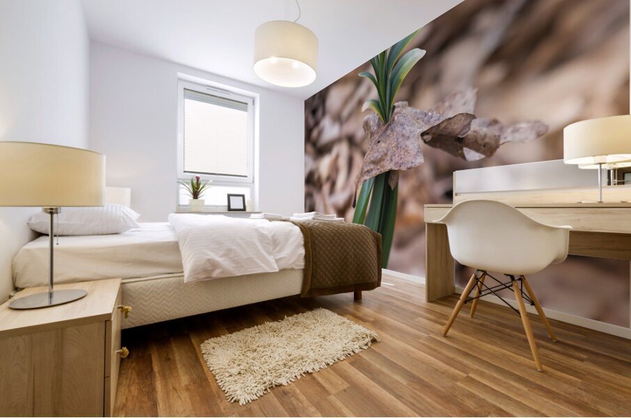 FlowersPlants 21 Mural print