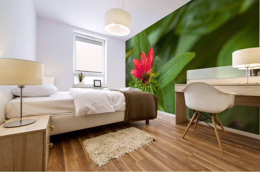 FlowersPlants 72 Mural print