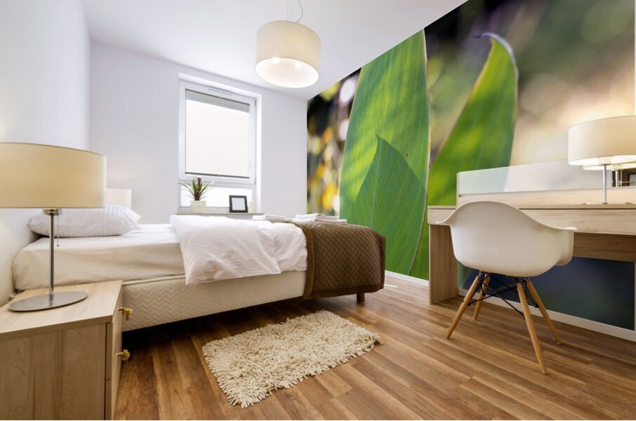 FlowersPlants 78 Mural print