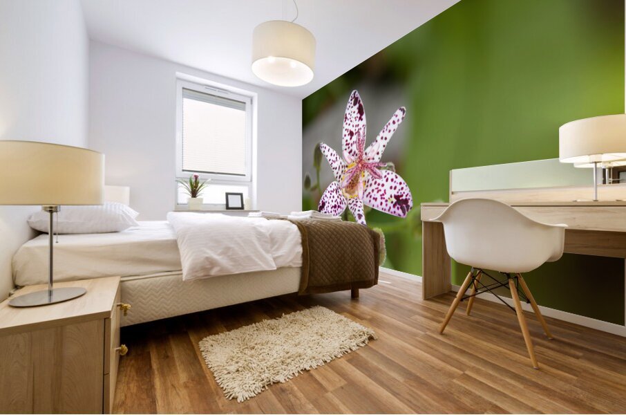 FlowersPlants 110 Mural print