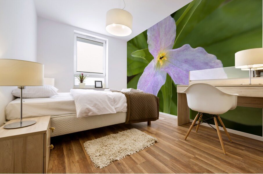 FlowersPlants 111 Mural print