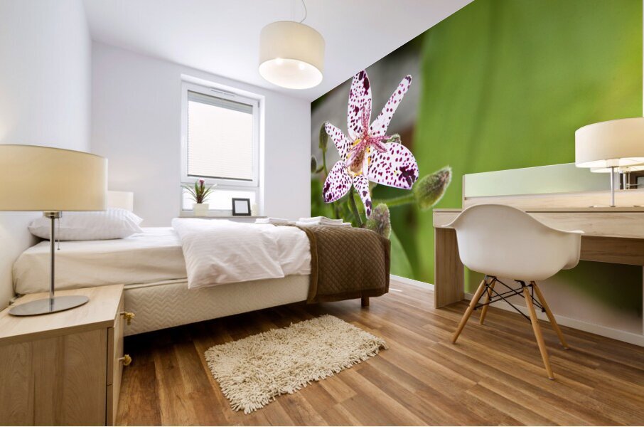 FlowersPlants 123 Mural print