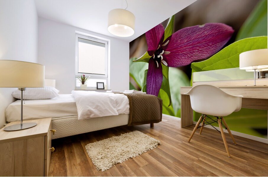 FlowersPlants 133 Mural print